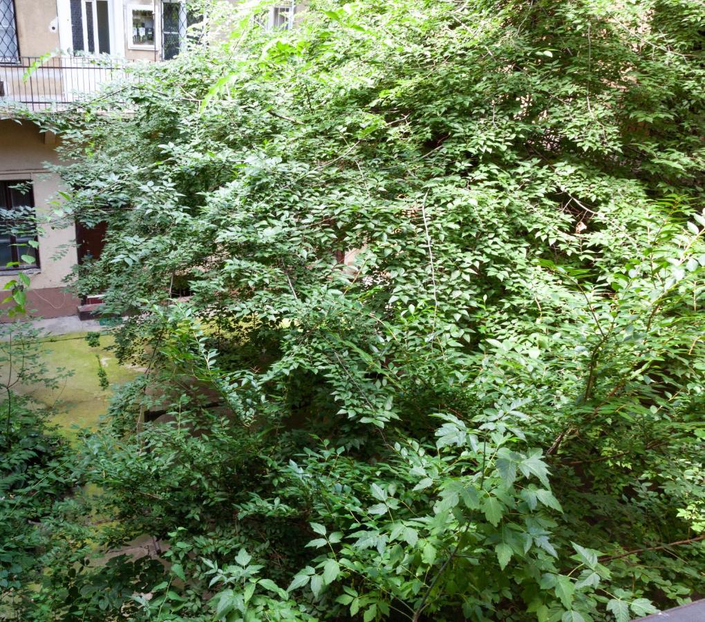 Happy Turtle Apartments Budapest Exterior foto
